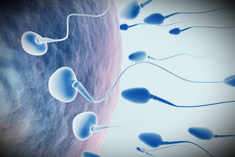 Проведение спермограммы